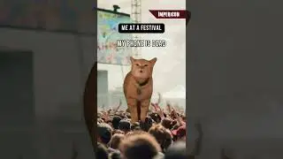Me at a festival #shorts #impericon #festival