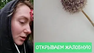 ОТКРЫВАЕМ ЖАЛОБНУЮ