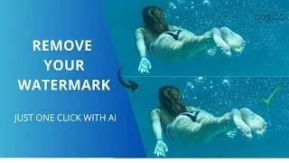 AI Watermark Remover: The Future of Digital Image and Video Editing | AI-Powered Watermark Remover