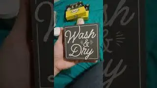 My Dollar General Green Clover and MISC. Penny Haul for 11/8/24