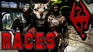 Dark's Top 5 Favorite Skyrim Races