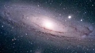 The Prophecy