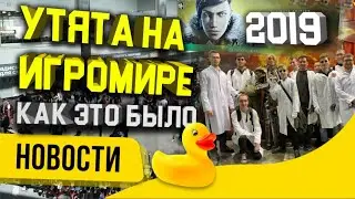 Утята на 