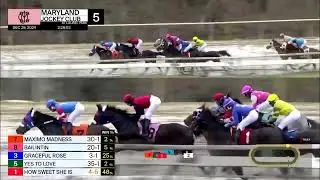 Laurel Park Carrera 5 - 29 de Diciembre 2024
