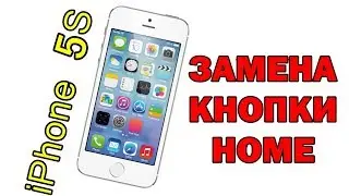 iPhone 5s замена кнопки home