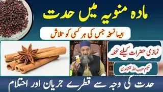 Mani Ki Hiddat Ko Kam Karny Ka Nuskha l مادہ منویہ میں گرمی کی وجہ سے جریان، احتلم کا مسئلہ