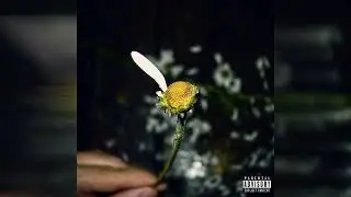 Xiris - No Way (Official Audio)