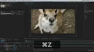After Effects Basics Layer Transformations