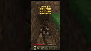 COSAS QUE DEBES HACER SI ERES NUEVO EN MINECRAFT PARTE 1
