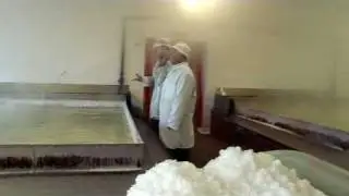 Maldon Salt