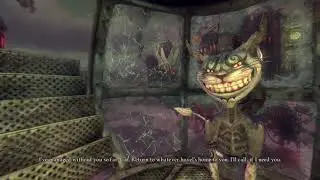 Alice  Madness Returns  the  cat