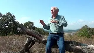 Mevlüt Gündoğdu - Perşembenin Gelişi