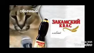 закамский квас на разных эффектах