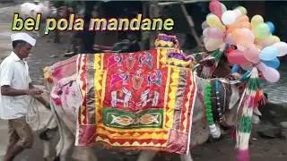 chal sarja chal raja bigi bigi 🐂 bel pola 🌺 J H  star mandane 🌹 #JHSTARBAND #gomitvlog