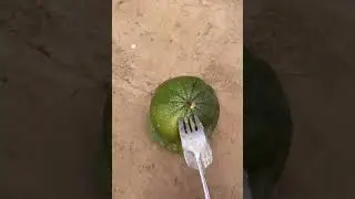 Clip Hot on China's Tiktok Today (p62) 