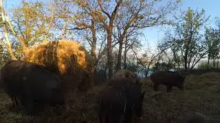 тайм лапс Балаково