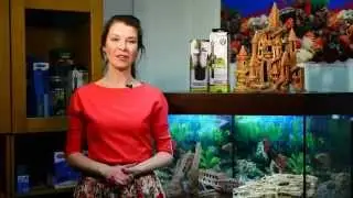 Аквариумы АКВА-МАКС