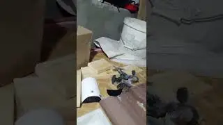 Новые идеи по благоустррйству вашей Беседки на даче или в загородном доме. Продолжение следует.