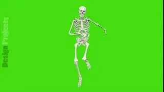 Skeleton dancing. Seamless loop animation on green screen.