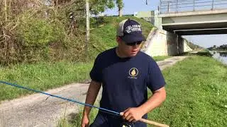 Bed Fishing for Peacock Bass in Clear Water!!