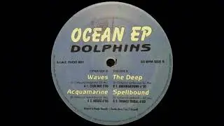 Dolphins - Wave (Club Mix)