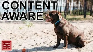Content Aware Options - Explained | Photoshop Tutorials