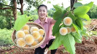 Have you ever seen this fruit at your place? / Harvest vegetable around home for cooking