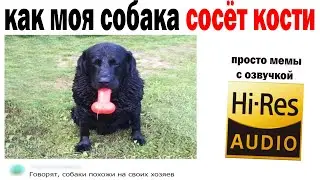 МЕМЫ 2021 года | Дневная подборка Мемов | Все самые Смешные и Угарные мемасы и Мемчики