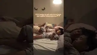 Kucing kalian gini juga gak gaess🥰🥰 #catlover #shorts