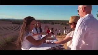 Festival de la Lavanda 2016