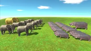 31 Hippo VS 11 Elephant 😱😱 - animal revolt battle simulator | ARBS SIMULATOR
