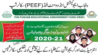 PEEF Scholarship 2021 || Scholarship for Undergraduate and FSC Students 2021 || Punjab Scholarship