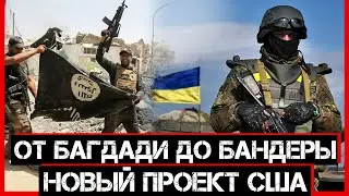От Багдади до Бандеры. Новый проект США.