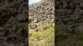 Death Stranding in real life 