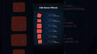 CSS Hover Effect 