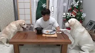 A Grand Christmas dinner!