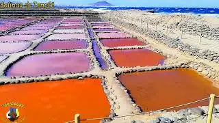 Salinas de Tenefé, Santa Lucía de Tirajana