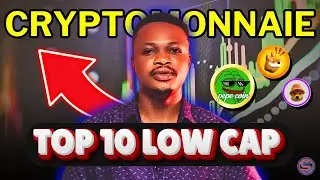 TOP 10 CRYPTOS LOW CAP A SAVOIR POUR 2024 - MEMECOINS/TOKENS