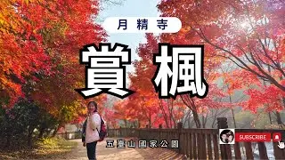 一起來賞楓吧 !!《五臺山月精寺》 #월정사 #오대산 #선재길