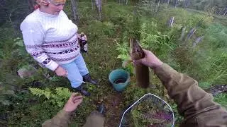 Рыбалка для души. 21+ :)