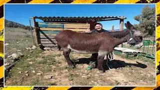 como realizar una cuadra con palets