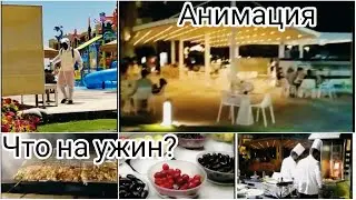 Египет!Хургада Июль 2020! Отель Albatros White Beach! Шведский стол ЕГИПЕТ и Анимация