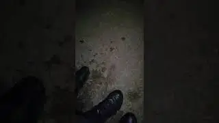 джинг белс без капусты