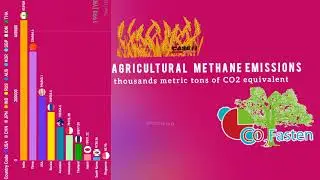 A Closer Look at Agricultural Methane Emissions: Analyzing the 30-Year Data #top10country