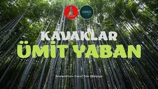 Öykü | Ümit Yaban - Kavaklar