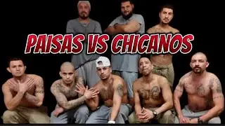 MEXICANOS VS CHICANOS ...THE RUMBLE !! ... #new #youtube