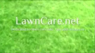 How Long Should I Water My Lawn?