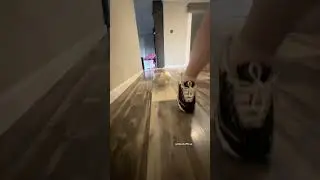 Sound on to hear cheese feet running.  #cuteanimals #sounds #cute #duck