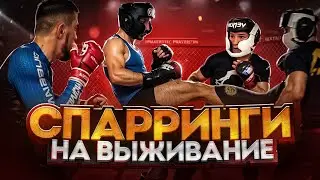 Спарринги на выживание. Тяжелый формат.