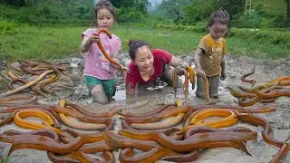 2 year living in forest, Harvest and cook with your children. START TO FINISH